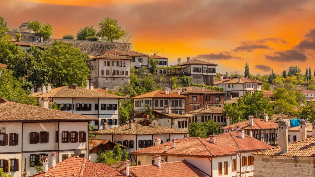 Safran Çiçeği Kolonyası