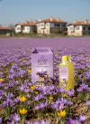 Safran Çiceği Safran Kolonya 900 ml Bidon