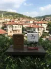 Safran Çiceği Katran Sabun 100 gr