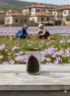 Safran Çiceği Safranbolu Yerli Safranı 5 gr